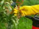 Why the $7.25 Billion Roundup Settlement Is Facing Pushback