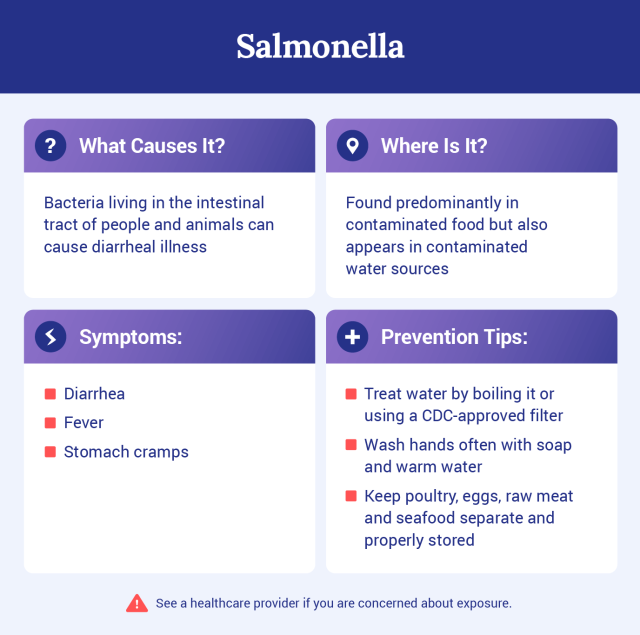 Graphic explaining what salmonella is.