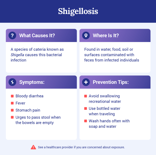 Graphic explaining what shigellosis is.
