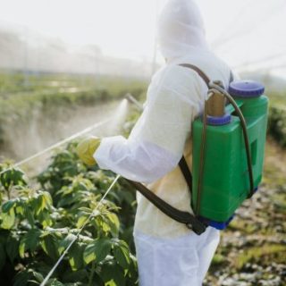 Person in hazmat suit spraying weed killer