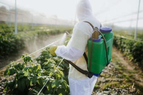 Person in hazmat suit spraying weed killer