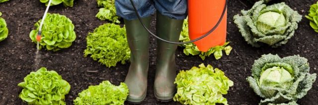 Farmer spraying toxic pesticides