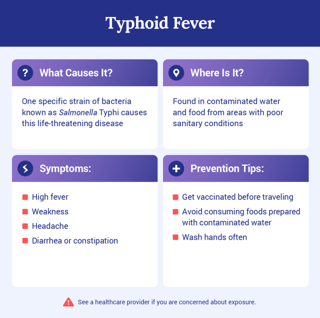 Graphic explaining what typhoid fever is.