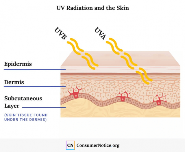 Diagram of UV radiation and the skin