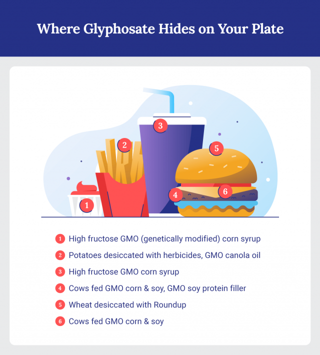 Where glyphosate is commonly found in food